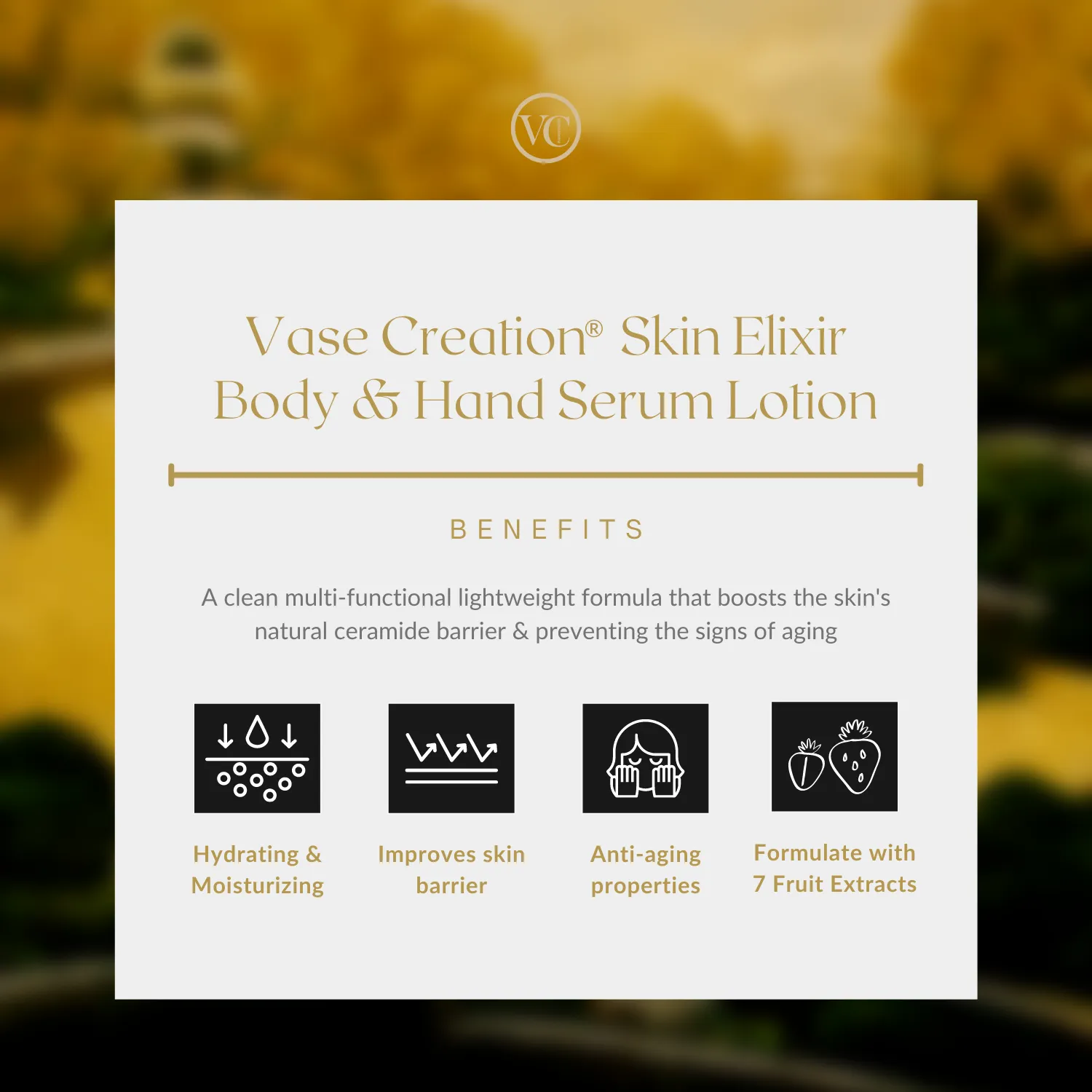 VASE CREATION Skin Elixir Serum Lotion
